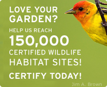 Certify your yard today!